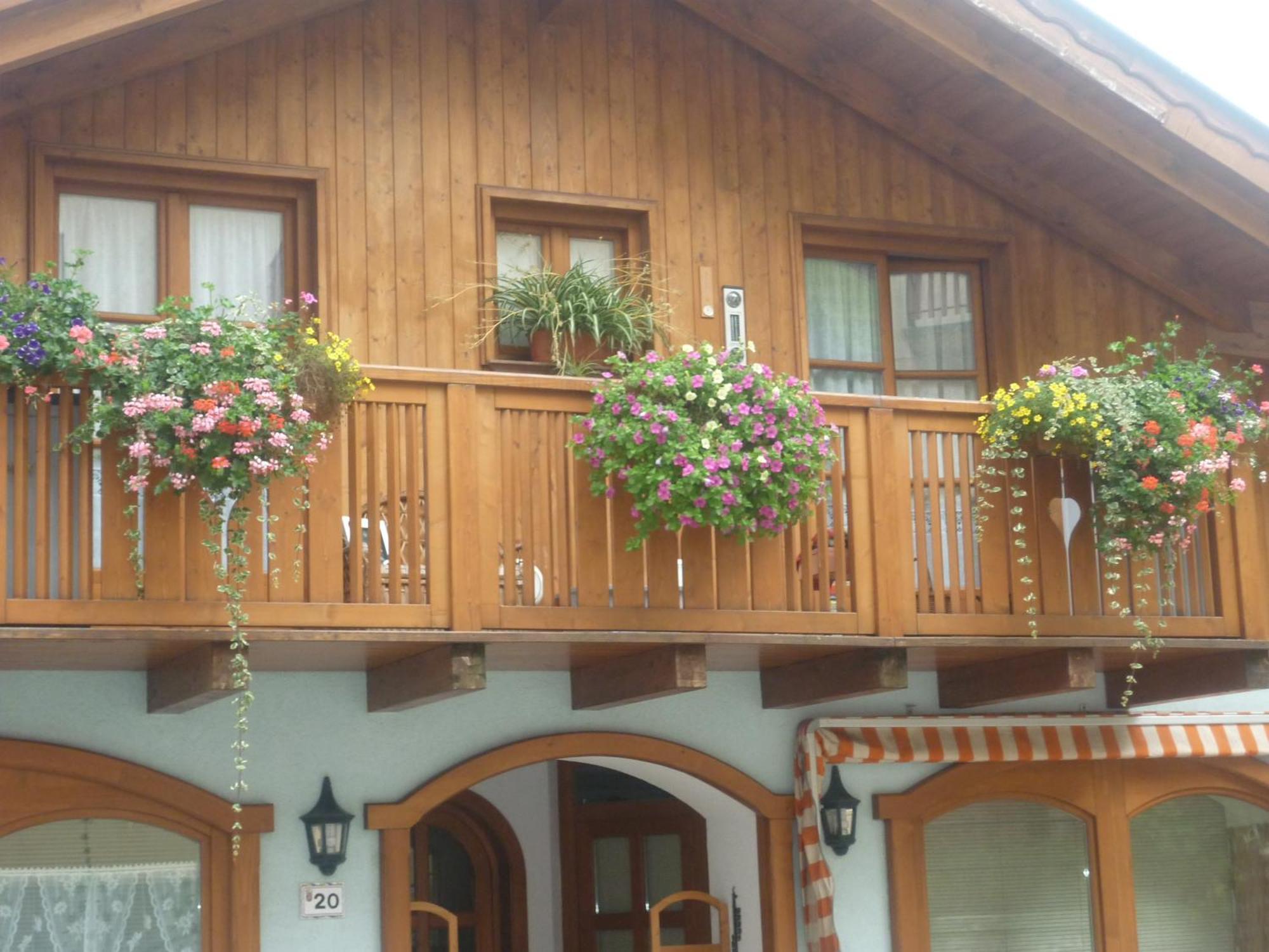 Appartamenti -Casa Nicolussi- Molveno Buitenkant foto